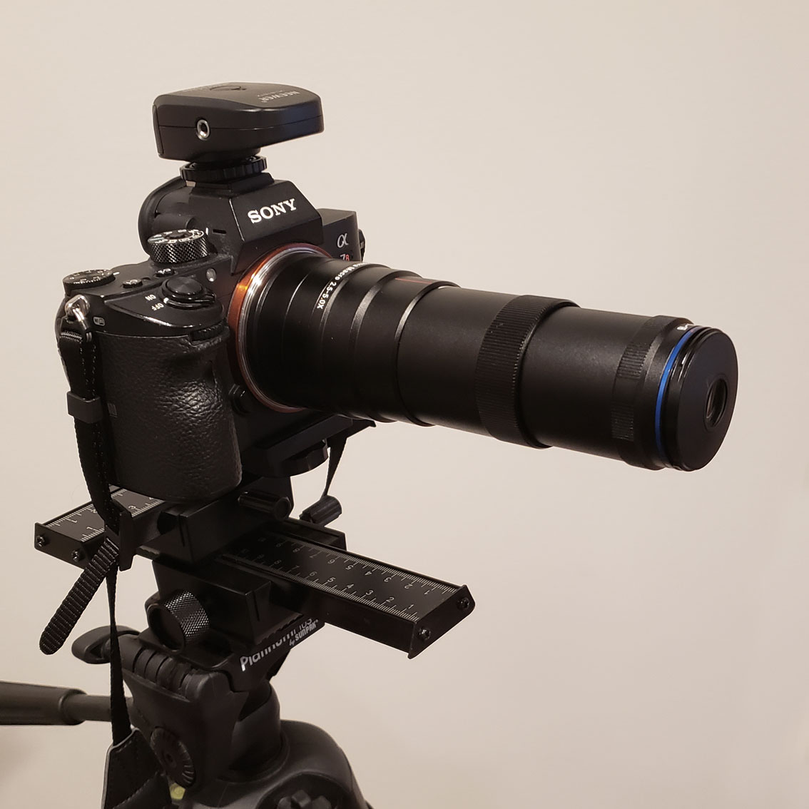 A Sony A7r iii with a Laowa 25mm f/2.8 2.5-5x macro lens.