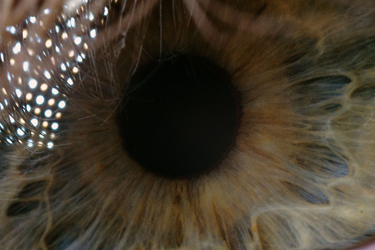 A close up photo of an eye.