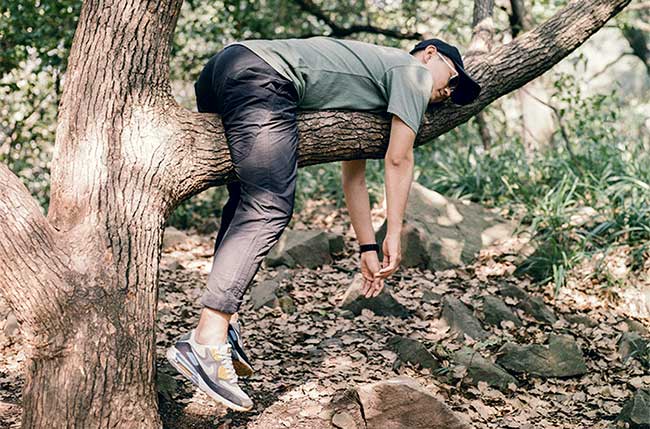 Some guy hanging out in a tree